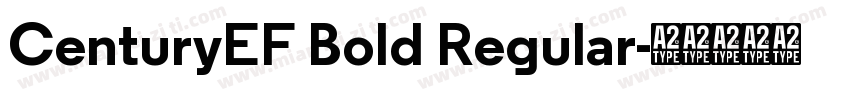 CenturyEF Bold Regular字体转换